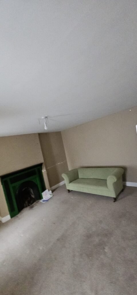 A light green sofa sits in an empty room with beige walls, a gray carpet, and a dark green fireplace, reminiscent of a scene from a house relocation case study.
